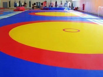 Спортивные борцовские ковры