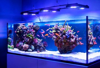 Светодиодные светильники для подсветки аквариумов 