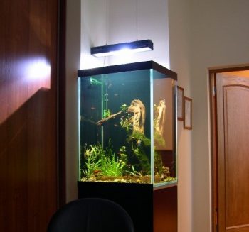 Стильный аквариум-колонна